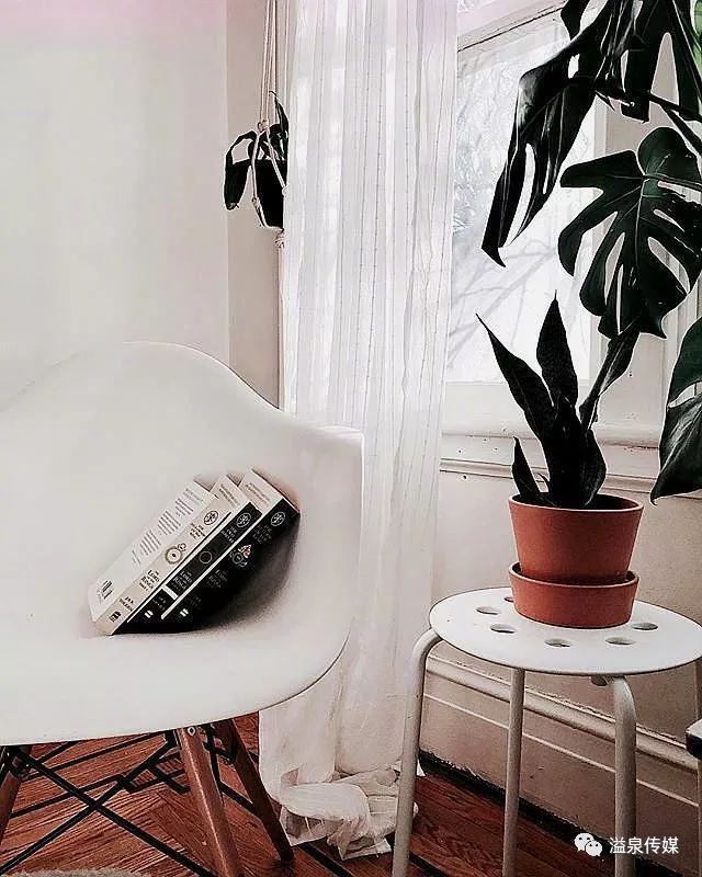 关于人生哲理的经典句子,精辟走心,引人共鸣!