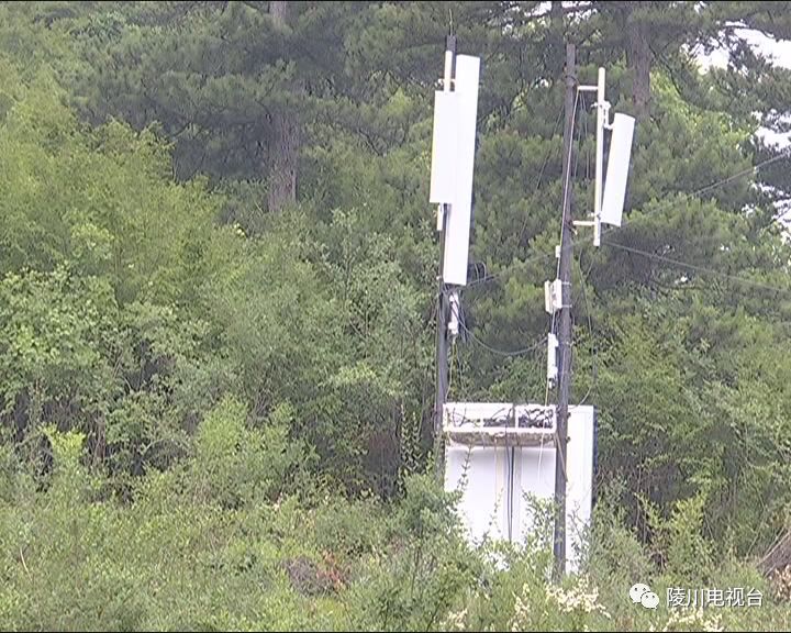 邵阳县五丰铺马草村现有人口_邵阳县塘渡口龙井村(2)