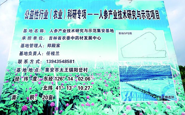 [人参科技] 田畴参花艳,增收数千万