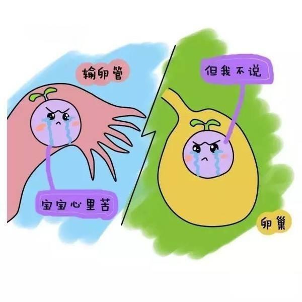 c96afbc602b34accb5fbce45667d2d68.jpeg