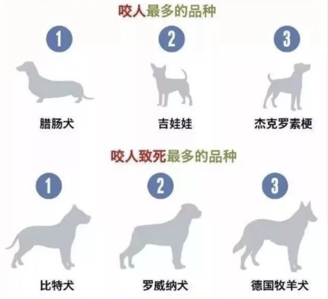                     男童被恶狗撕咬30分钟！一定要教会孩子这些，关键时刻能救命！