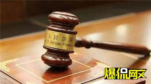 顶点小说总排行榜_盗版站“顶点小说网”覆灭站长判刑8个月罚金5万元