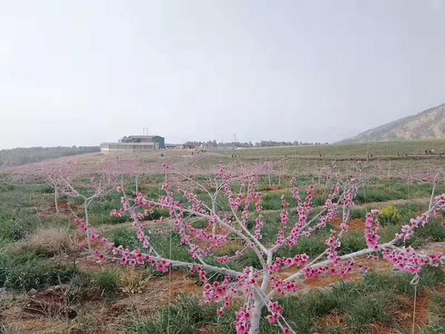 会泽县吕小奎和他的田园乡村梦