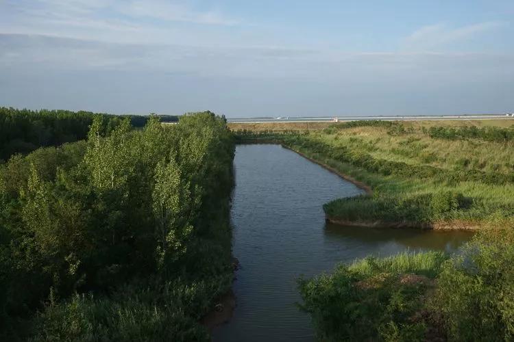 资讯济南野驴摄影部落聊城马颊河两河湿地拍摄纪事