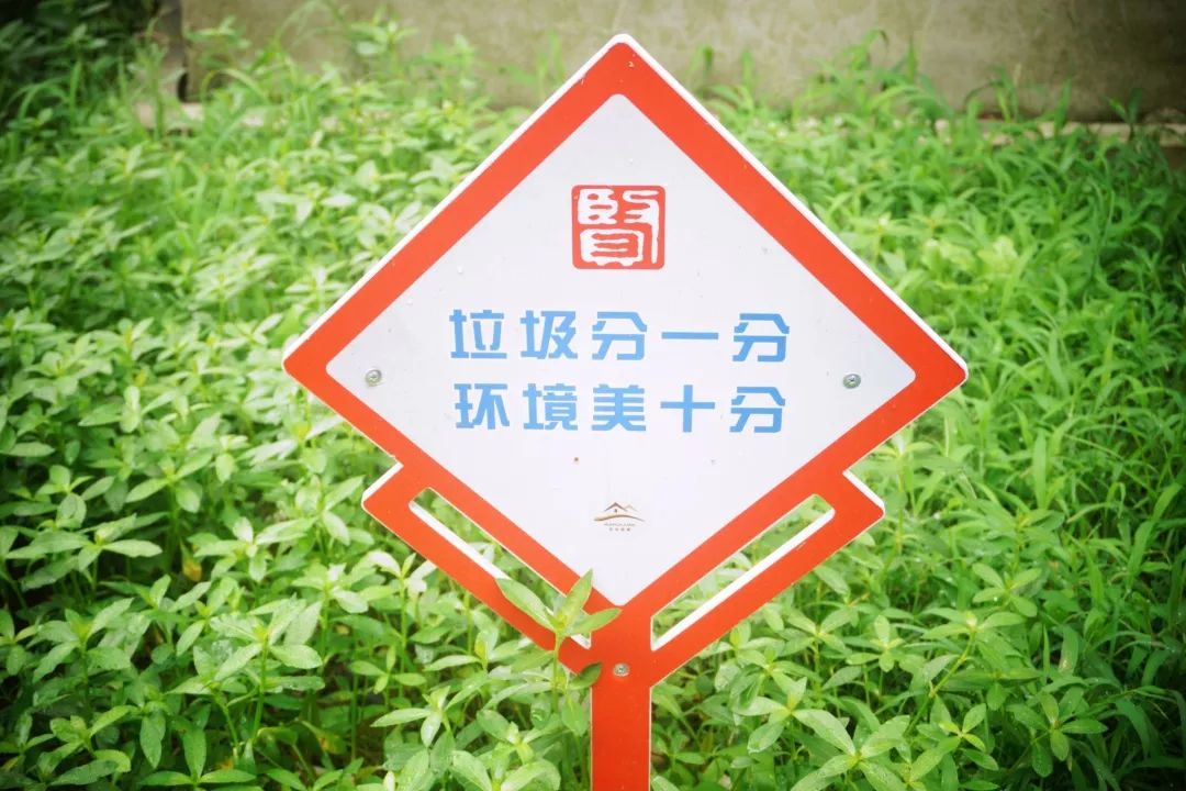 图片 >>除了监管以外,小区还实行了积分鼓励制度,在正确投放垃圾之后