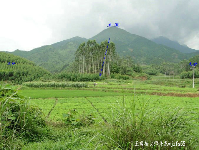 风水宝地少祖龙没牛吹气结风水墓地风水大师王君植实战寻龙点穴巨献