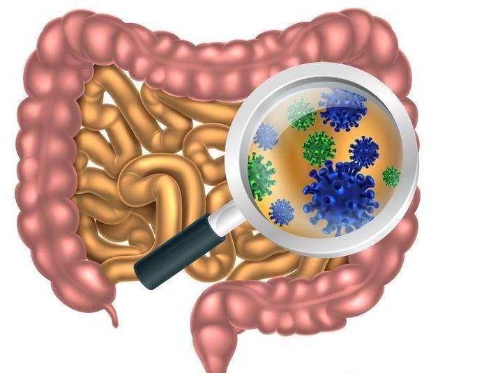 肠道菌群紊乱是百病之源,如何拯救肠道菌群失调?