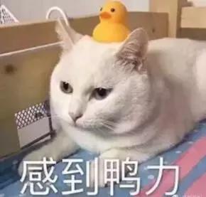 灵魂拷问:你是什么垃圾?