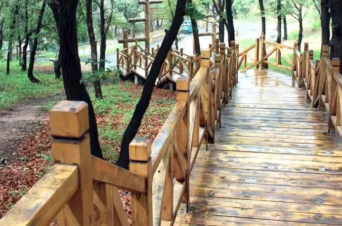 园内7公里的登山木栈道