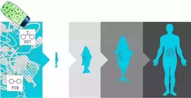 fa6d3ec4cf4e4c9a83f7c2b125d913f0.JPG
