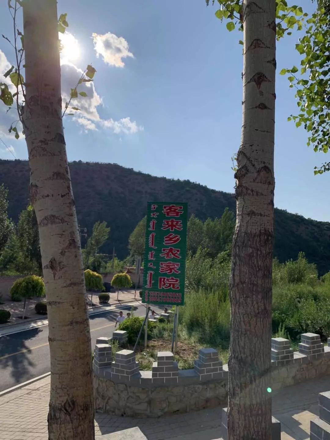 文章配图