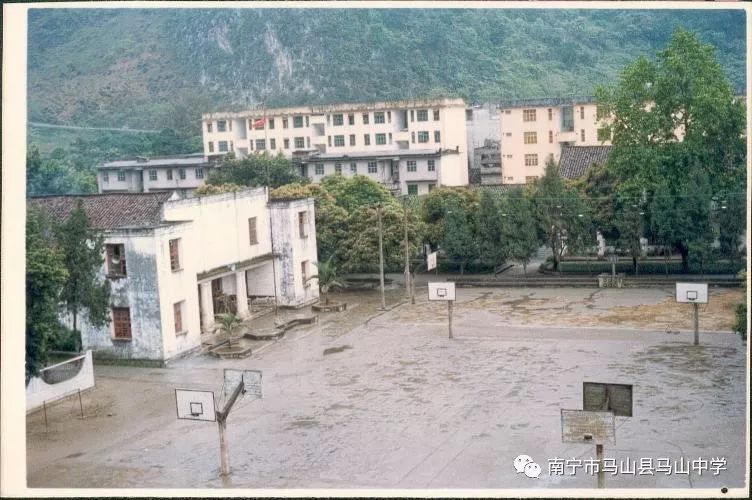 马山中学校友会成立:凝聚校友力量 共创美好未来