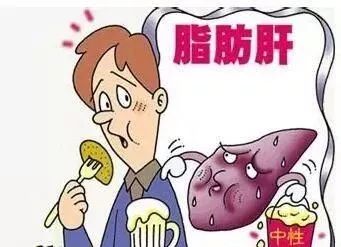 什么叫脂肪肝改变 0b9ff2b7afd846a4aa2906764fccbda7.jpeg