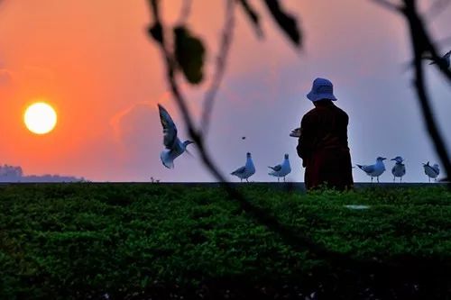 如何让自己活的洒脱 0baa1721f91342d28bf473889ac04b81.jpeg