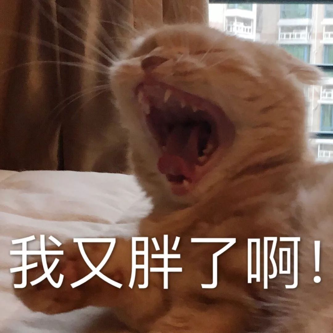 当代青年水逆图鉴,这股互联网黑暗力量为啥让