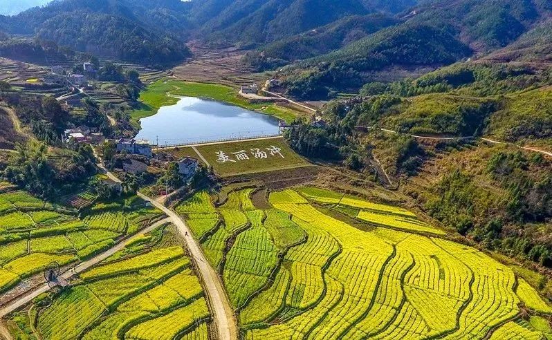 刘河镇人口_刘河镇汤冲村