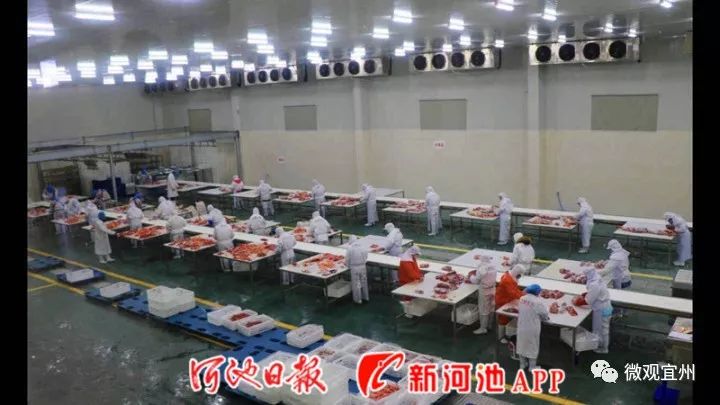 河池市宜州区经济总量_宜州区地图