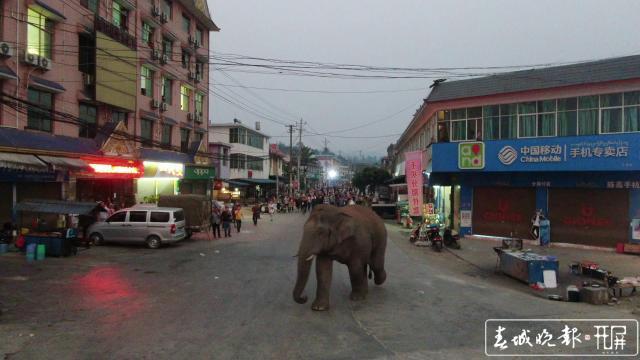 西双版纳人口概况_西双版纳风景图片(2)