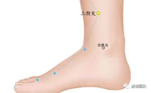 怎样才能有效健脾利湿 2e69a53098b841da9f8d95b1d3c7a6bd.jpeg