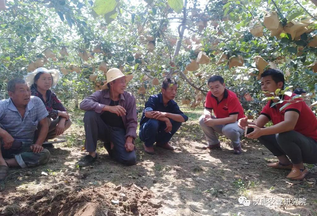 【智慧農(nóng)業(yè)】農(nóng)村產(chǎn)業(yè)振興，新型職業(yè)農(nóng)民培訓(xùn)先行