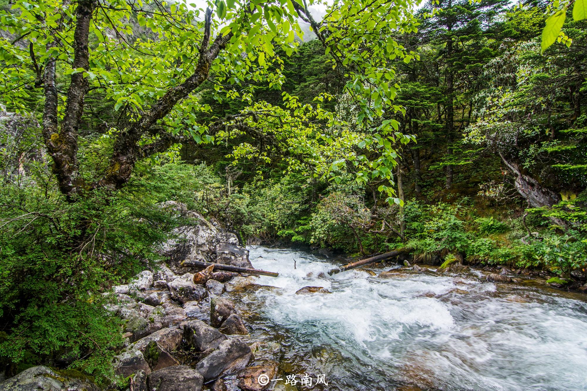 四川這個地方美呆了，雲霧升騰似仙境，青山綠水就是金山銀山！ 旅遊 第3張