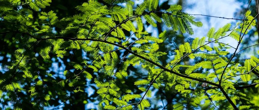 人生过半,回头看看(句句入心)