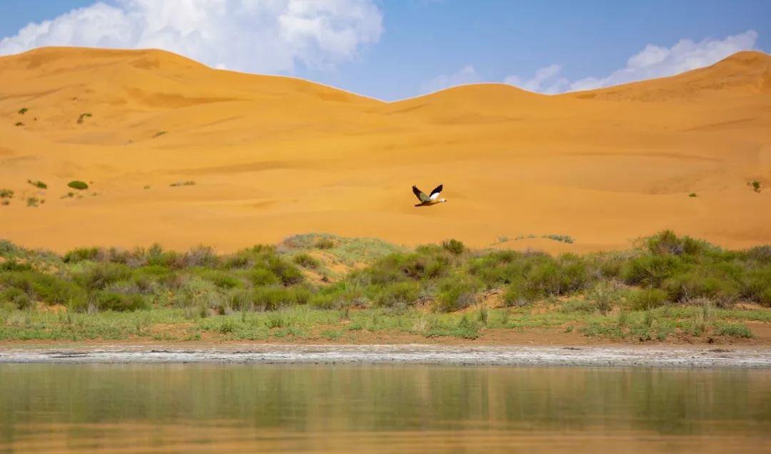 《疯狂导师汇》专访 | 梭梭学院导师赵欧仁:去沙