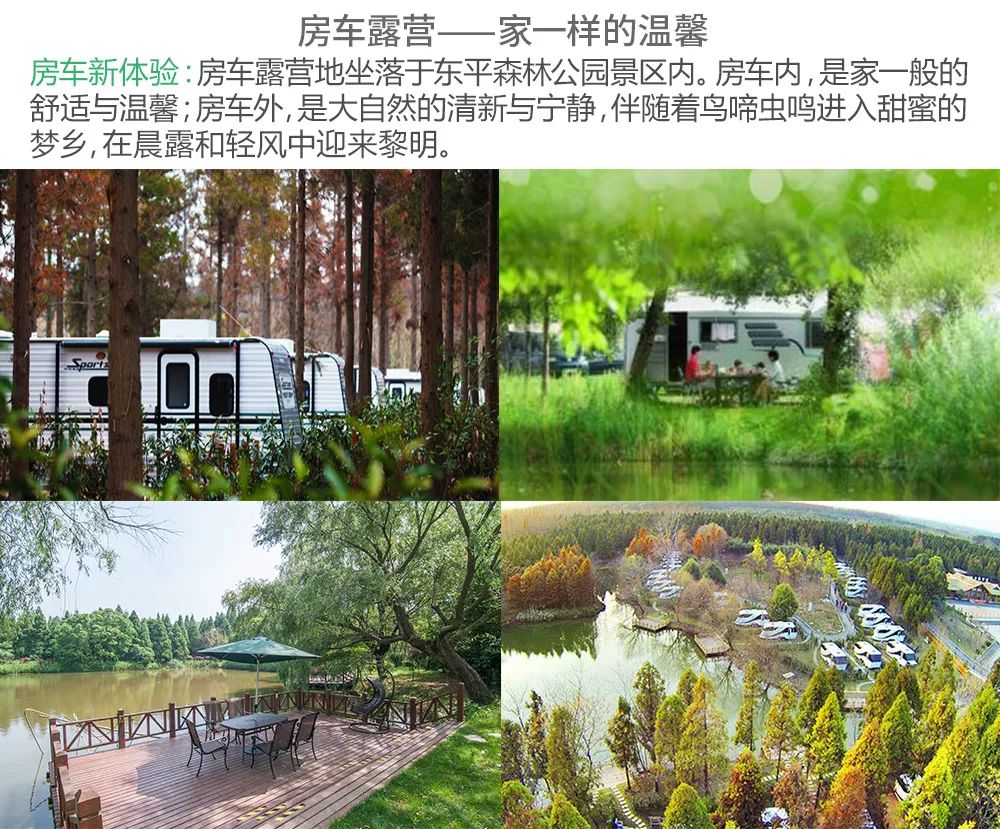 399元可住森林公园房车1晚,还包含双早