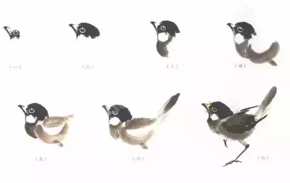 分步骤详解,写意翎毛基本画法,从结构到姿态,跟着学有