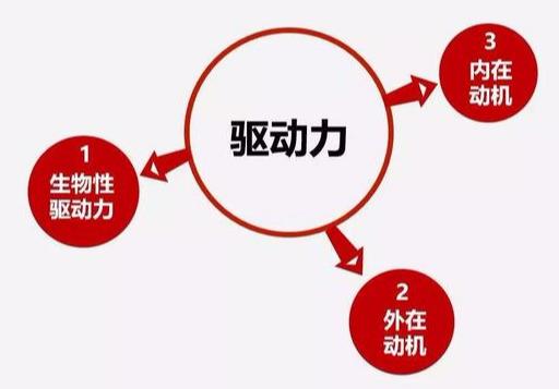 越推孩子越不学?可能孩子学习的内驱力就这样被你破坏掉…… 云顶备用网址