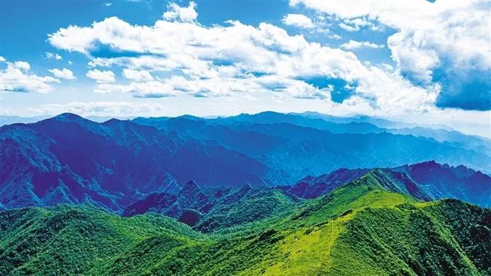 秦岭保护丨走进大秦岭感知父亲山