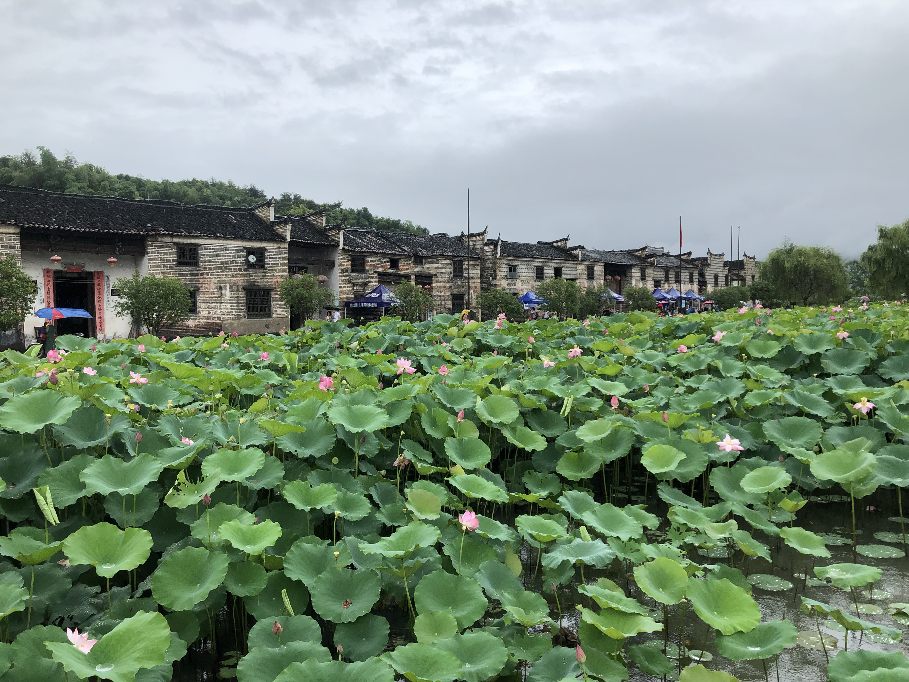 暑假去东江湖，每天都可见雾漫小东江，导游说遇见需缘是骗人