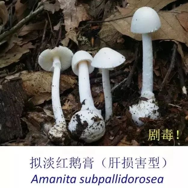 487c94a669664e67b8ec7b19c55aa10b.jpeg