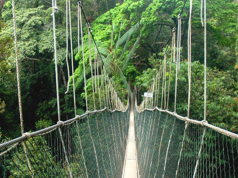 马来西亚大汉山国家公园攻略,探秘热带雨林美景