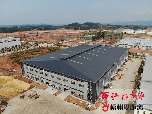 上半年梧州全市加快重点项目建设,多个项目提前实现开工