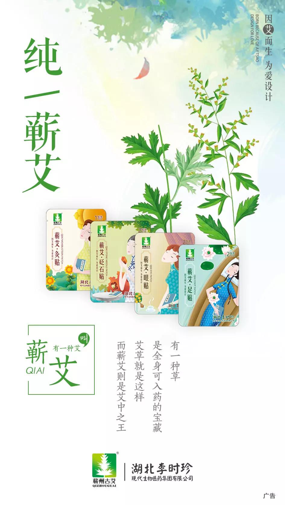 湖北李时珍艾草之王——蕲艾