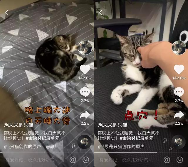 全网最美奶奶挑战"军阀太太,快手播放超千万 微抖快红爆款