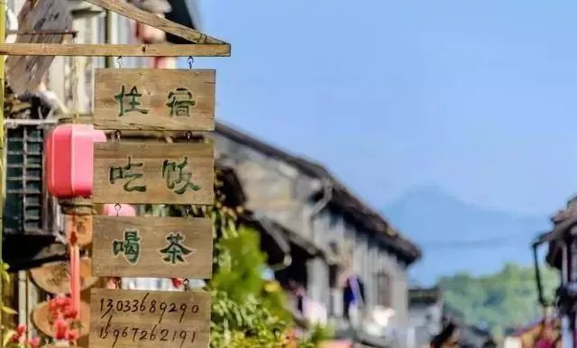 莲都区碧湖镇gdp_莲都区自燃(3)