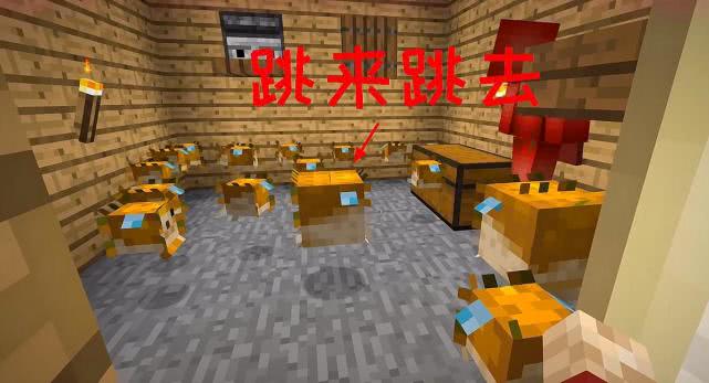 5db0c07c985a4e34b929a9a267f5a8df.jpeg