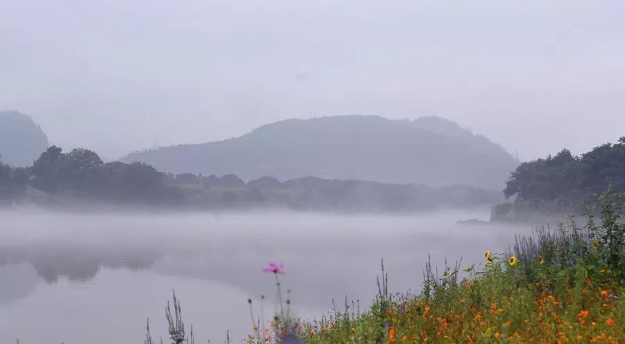 格格看天台: 烟云始丰湖, 雾里看花, 如诗如歌如