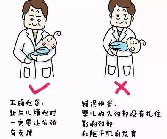 所以在月子里的时候,即使是横抱的时候也要注意,不仅要托住小家伙的