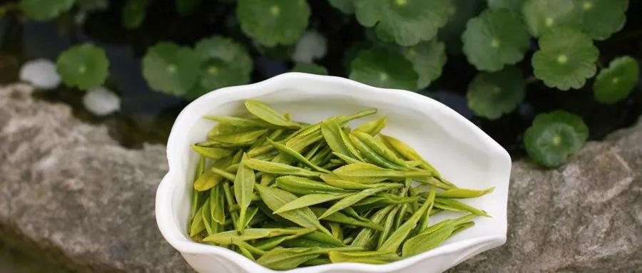 6af3e8a7939b4b788587f195fc971d47.JPG