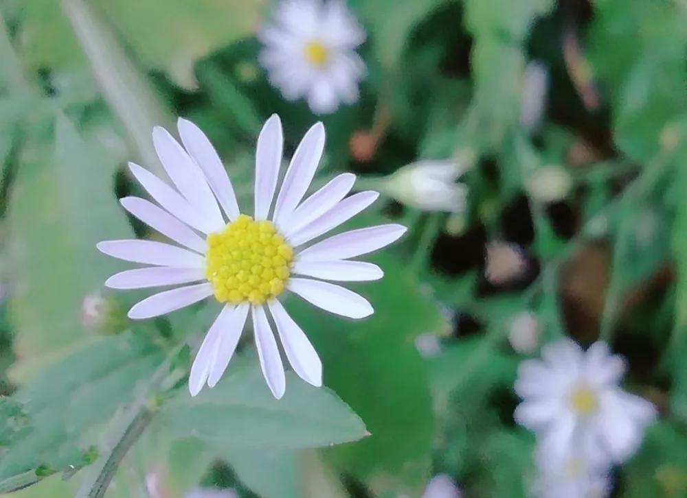 你的夏日独家记忆是什么?