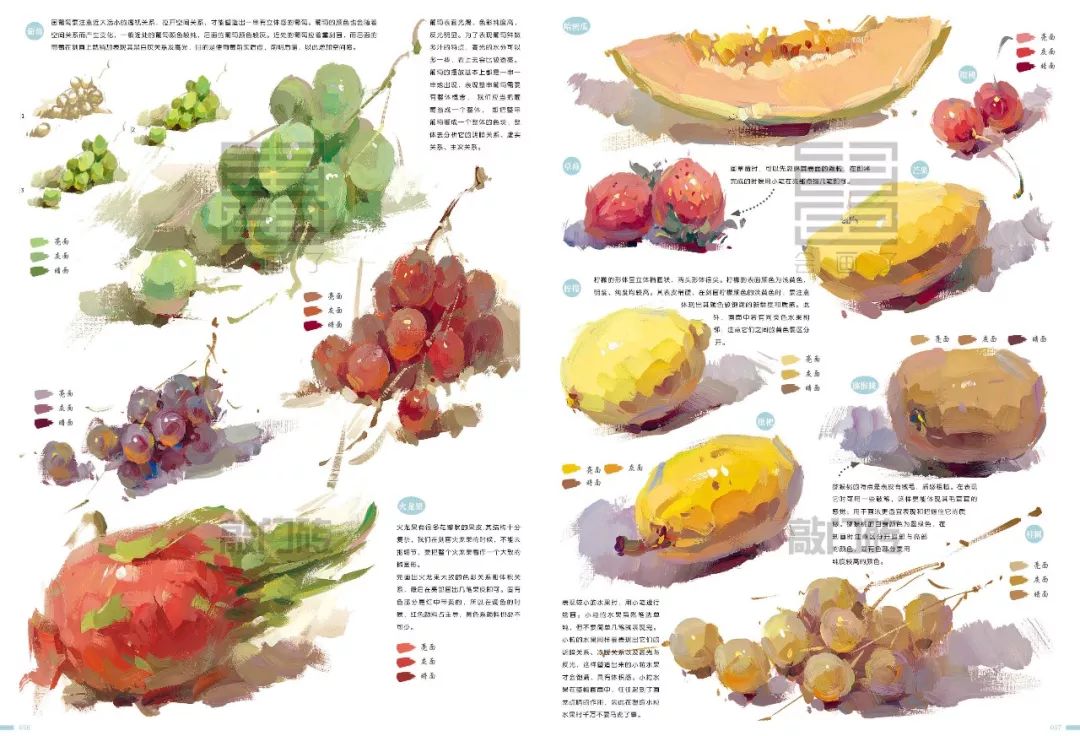 《体系-色彩静物》六大章节完美诠释教学体系