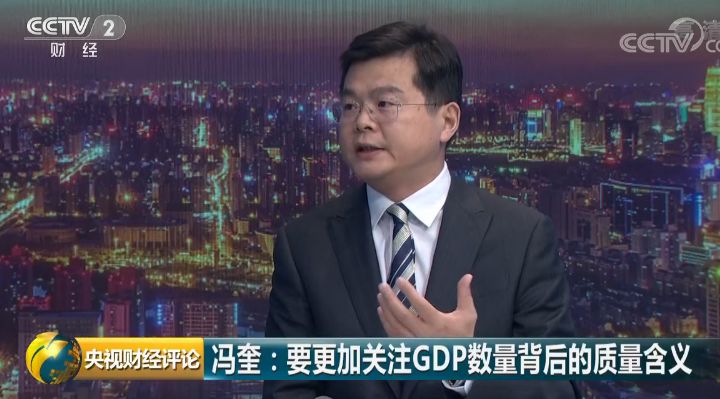 央视gdp事件被骂_央视记者王冰冰图片