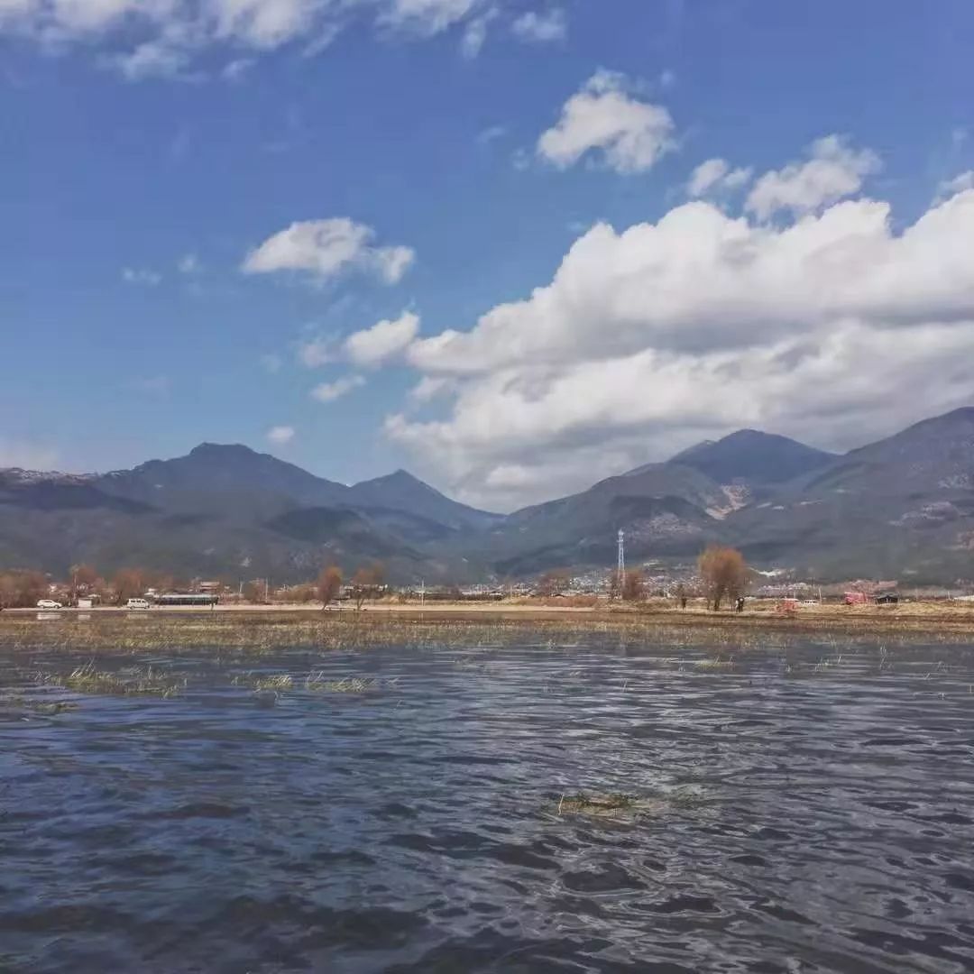 鸡冻!南宁到丽江,动车每天一趟,8.5小时当天可