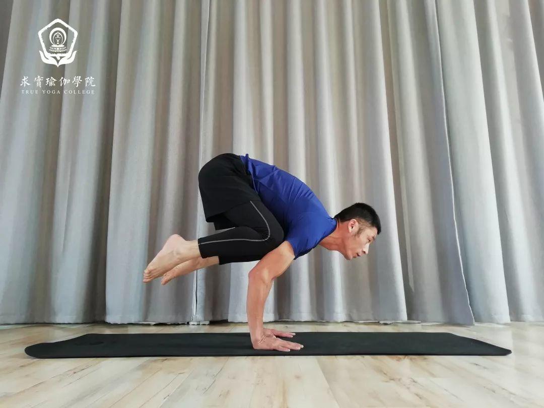 bakasana – 鹤禅式