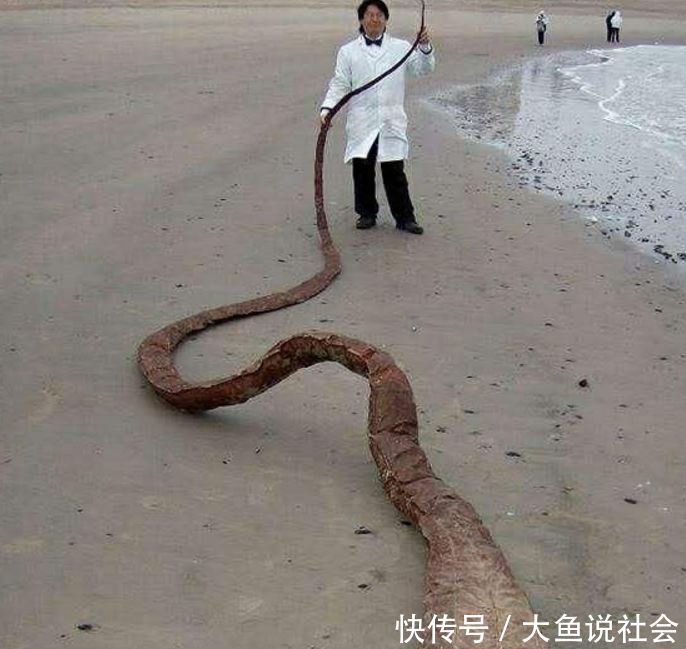 马和尸玩命猜成语_冬马和纱(3)