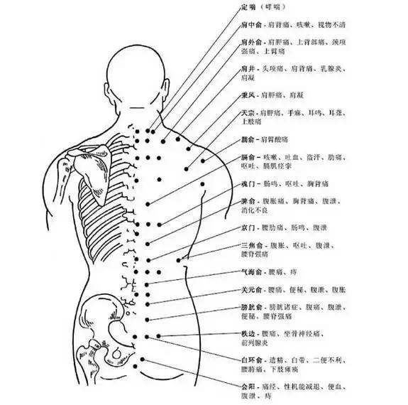 触摸背部,滋养肾脏,养护全身