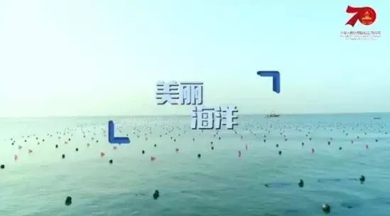 蓝色的爱歌曲简介 9e7fce67305d415681d3cbb7e551b3ea.jpeg